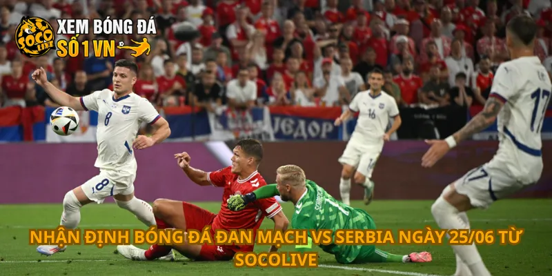 Nhận Định Bóng Đá Đan Mạch Vs Serbia Ngày 25/06 1 Nhận định bóng đá Đan Mạch vs Serbia ngày 25/06