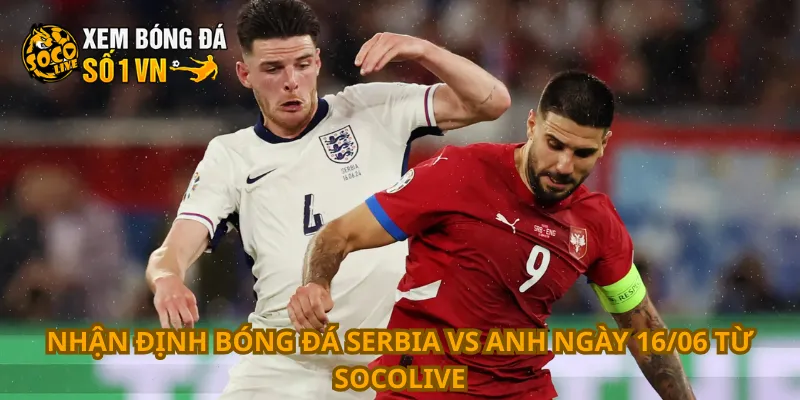 Nhận Định Bóng Đá Serbia Vs Anh Ngày 16/06 1 Nhận định bóng đá Serbia vs Anh ngày 16/06